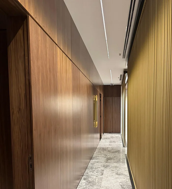 Proyectos especiales